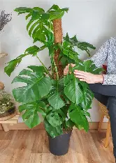 Service de jardinage à domicile à Guéret