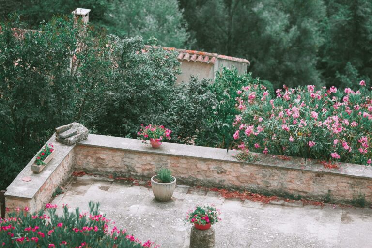 Lire la suite à propos de l’article Que faire au jardin en juin ?