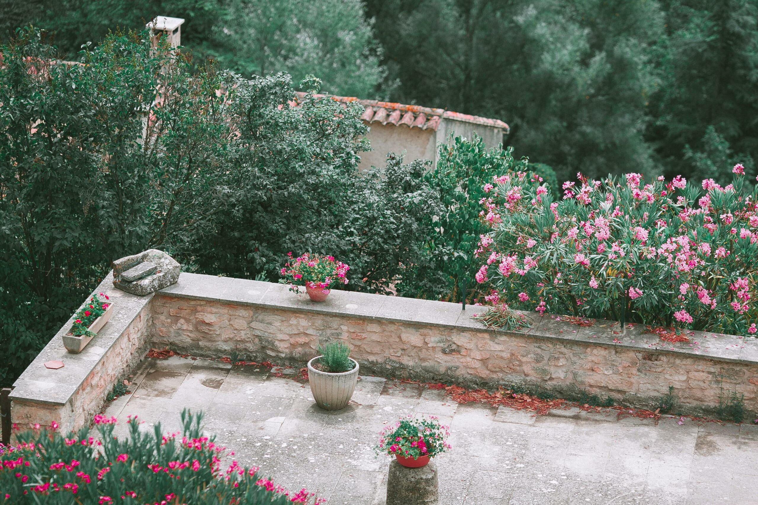 Lire la suite à propos de l’article Que faire au jardin en juin ?