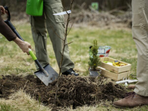 Service de jardinage à domicile à Guéret